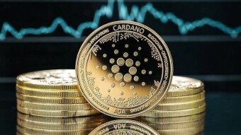 Why Are People Still Bullish on Nano and Cardano? Seriously, I'm Asking.