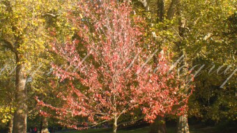 Autumn is here