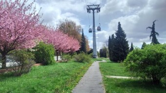 A cold day, but flowery and spring-like - My Actifit Report Card: April 26, 2026