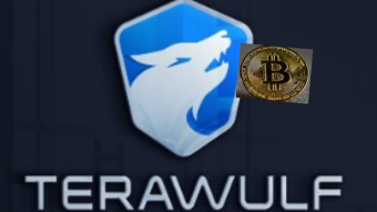 TeraWulf starts first nuclear-powered Bitcoin mining in the US