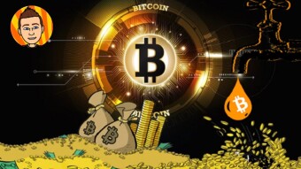 How Much of Your Net Worth Should You Invest In Bitcoin?