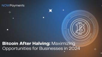 Bitcoin After Halving: Maximizing Opportunities for Businesses in 2024