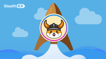 What Is Floki Inu Crypto Coin FLOKI?