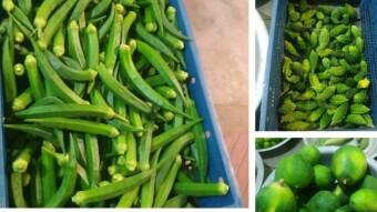 Photography of the moment of buying vegetables at the vegetable market