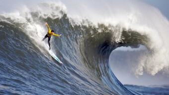 Weekly Briefing №75 | A Coming Resurgence of Active Management?