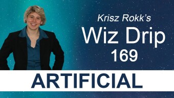 Wiz Drip 169. Reclaim Your Sovereignty by Taking Full Responsibility