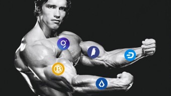 Five Biggest Altcoin Gainers From February 8th to 15th
