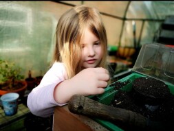 Sustainability and Horticulture