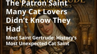 The Patron Saint Many Cat Lovers Didn’t Know They Had