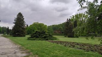 Another cold and unpleasant day, but there is hope - My Actifit Report Card: May 18, 2026