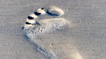 The Feet