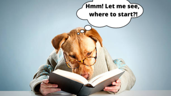The History Of Dogs And Dog Breeds! All You Ever Wanted To Know About Dogs And Dog Breeds!