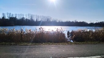 Positive Tuesday - My Actifit Report Card: March 3, 2026