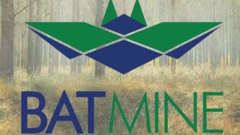 Batmine VS Eco friendly blockchain for the future crypto world