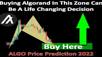 Buying Algorand In This Zone Can Be A Life Changing Decision | ALGO Price Prediction 2022