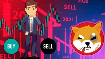 The Fall of Shiba Inu Coin? Is this the End? Buy or Sell?