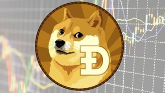 Shitcoin: which are and which are the best