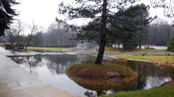 New Year's walk in the rain - My Actifit Report Card: January 1 2024