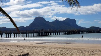 January Monday like a classic November day and returning warm memories from the Philippines - My Actifit Report Card: January 9 2023