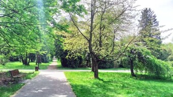 Tuesday with Summer Temperatures - My Actifit Report Card: May 5, 2026