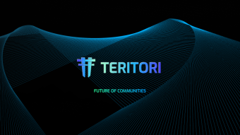 Teritori Testnet Validator Installation Tutorial