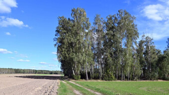 Life in the Lublin countryside. Longing grows