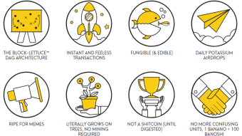 Banano Basics