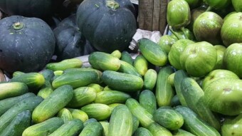 BOC-Photography//Capturing Colors at the Market,A Moment Behind the Lens