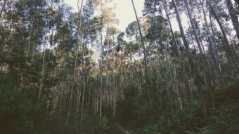 Trip to Portugal - Santa Justa Trail