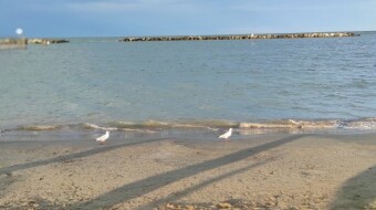 Uraban Hiking -Igea Marina (Part 3) - The sea