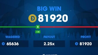 Bet and Win Big with Crypto on Wolf bet!