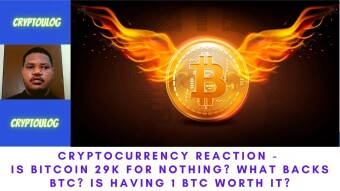 Cryptocurrency Reaction - Is Bitcoin 32k For Nothing? What Is Backs BTC? Is Having 1 BTC Worth It?