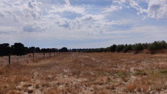 Reflections from a Farm Part 1