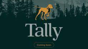 Tally Ho! A Web3 Dream Vs. A MetaMask Nightmare (For Dummies!)