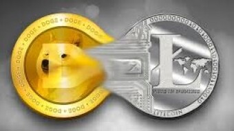 What is your decision, Dogecoin or Litecoin?