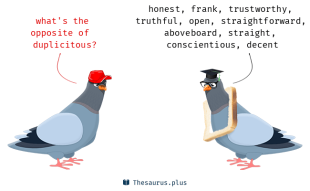 (IJCH) Beware the Duplicitous Respite