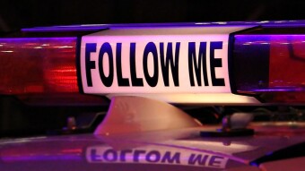 LEO Finance helped me reach 100 followers by focusing my content to the right audience