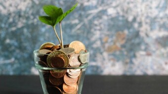 Money grows on trees after all. Learn to build money trees.