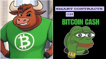 A Closer Look at BCHBULL: Bitcoin Cash’s First DeFi Smart Contract App
