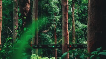 World's first carbon offset tradeable token