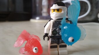 The Way of the Ninja is Leo's Story. Part 3.