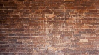 The Wall
