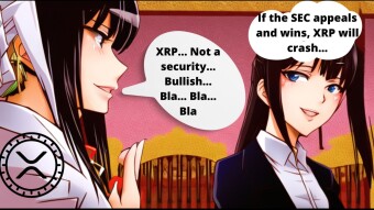 Why I Think XRP Could Crash