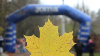 A wrong turn– “Race “Autumn Leaf””