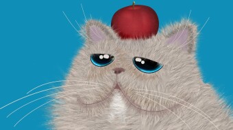 Apple's production cuts drive risk markets to fall after hours BUSD drives rise in total stable-coin market value — 2022/09/28