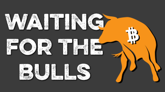 Waiting for the bulls
