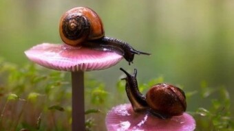 POETRY IN MOTION... (A DANCE AND A POEM , INSPIRED BY A SONG)