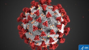 My Proposed Solution to the COVID-19 Pandemic