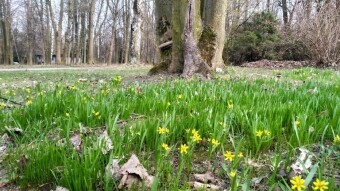 Wednesday still warm, but very windy - My Actifit Report Card: March 25, 2026
