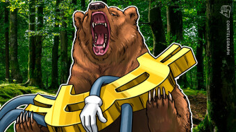 The Fall on Bitcoin, could it be the result of Elon Musk saying Telsa nolonger accepts Bitcoin?
